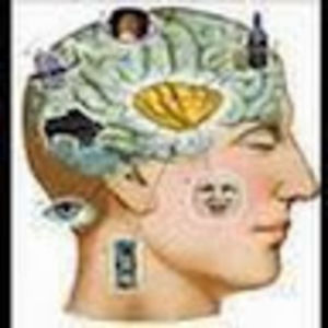 Meet your Posher, Verity